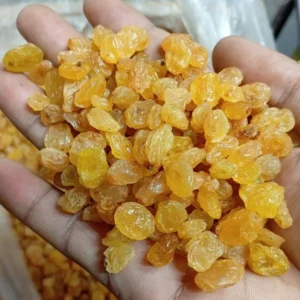 Golden Kismis - Golden Raisin (Seedless)